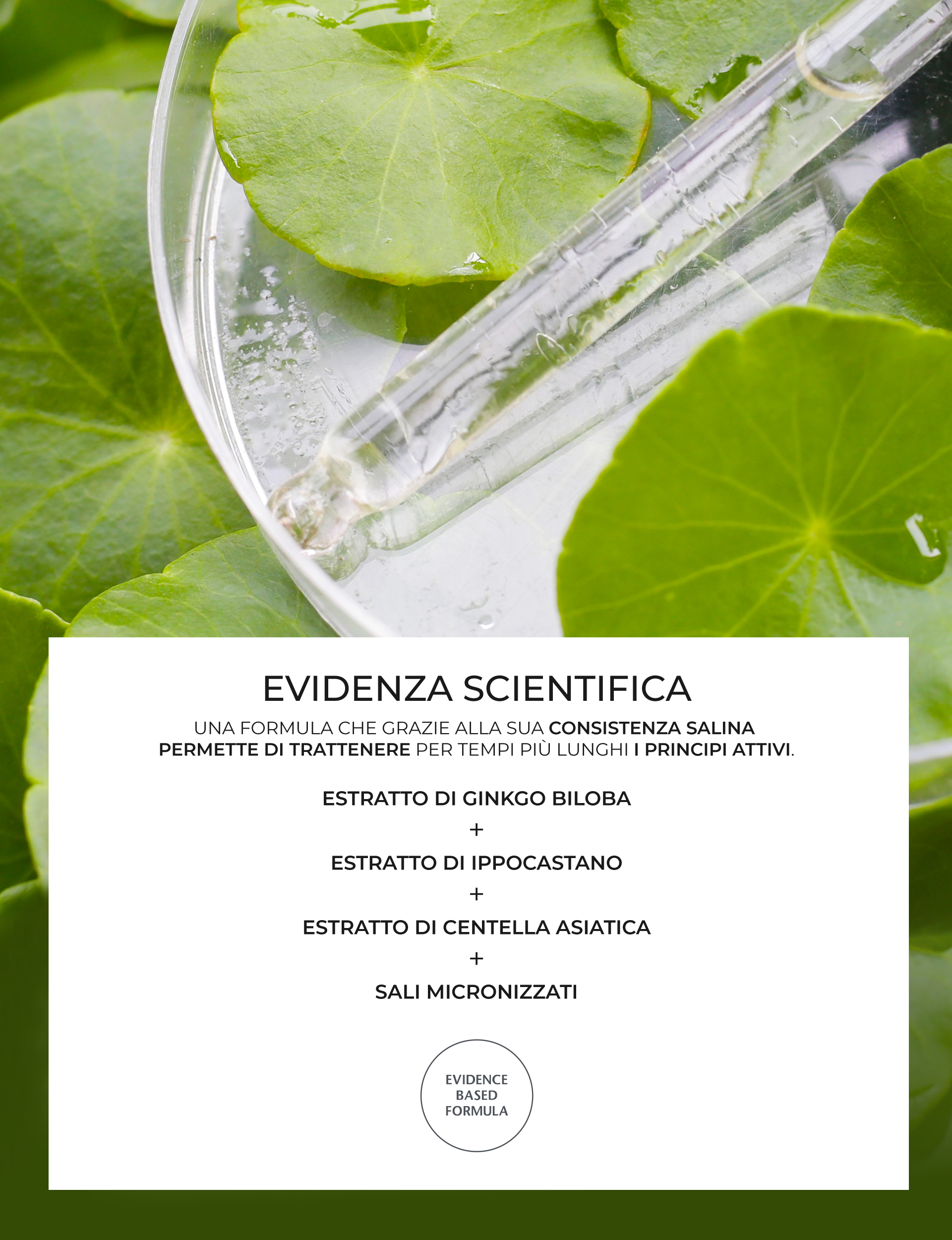 HiLeg — card