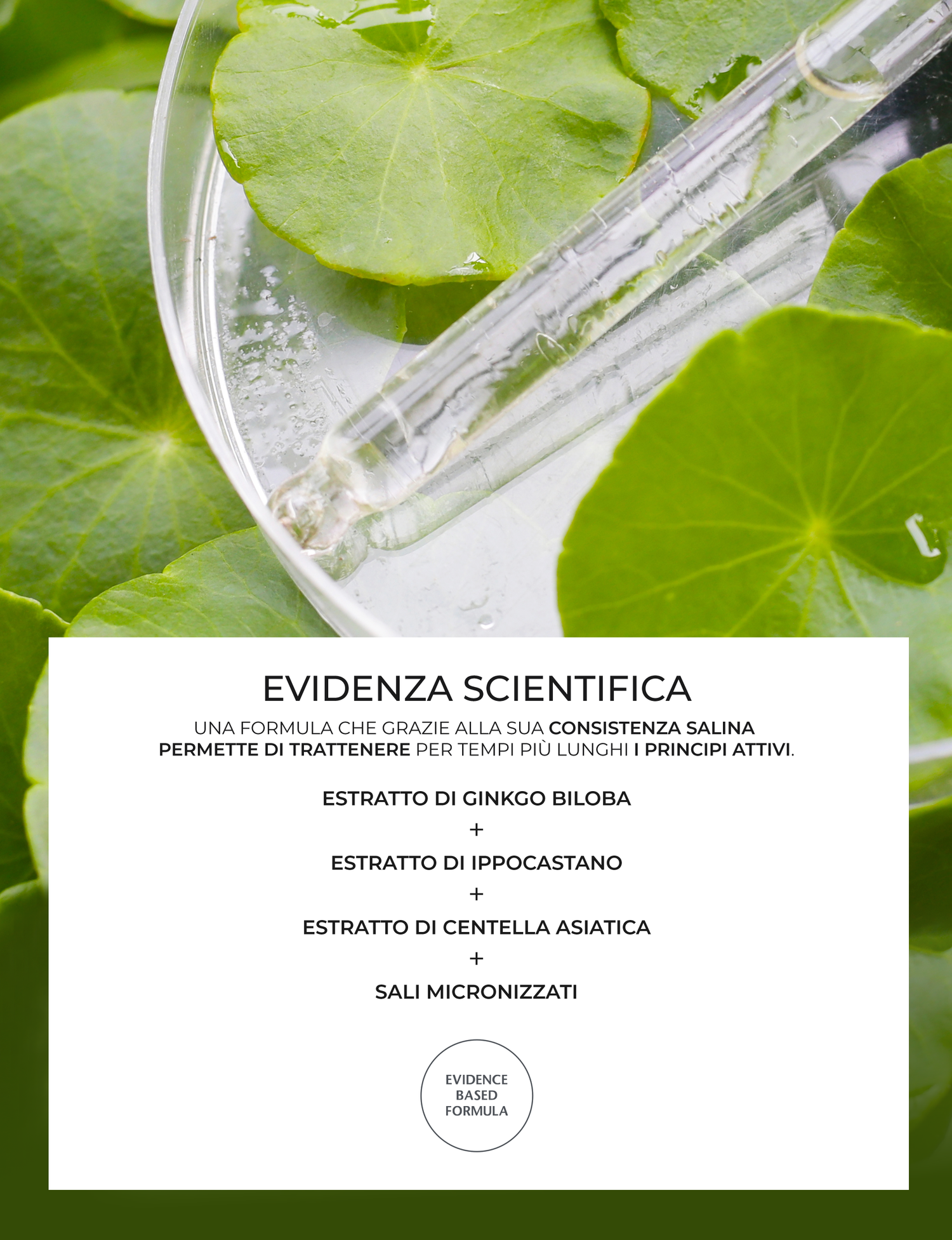 HiLeg — card