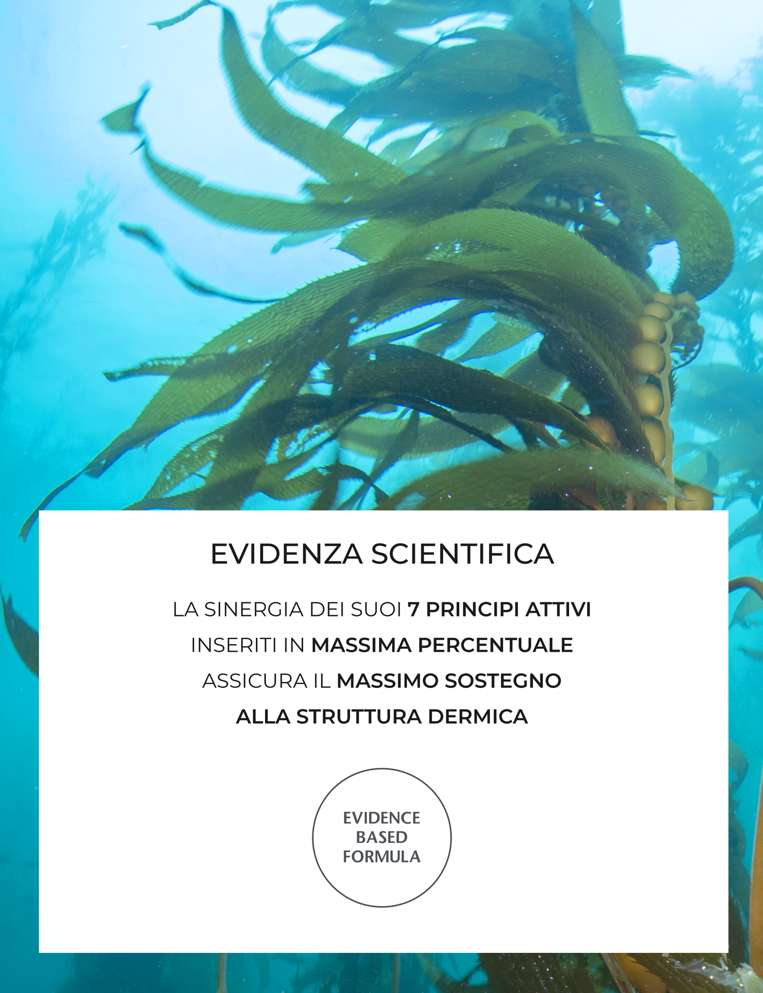 Sustenium — card