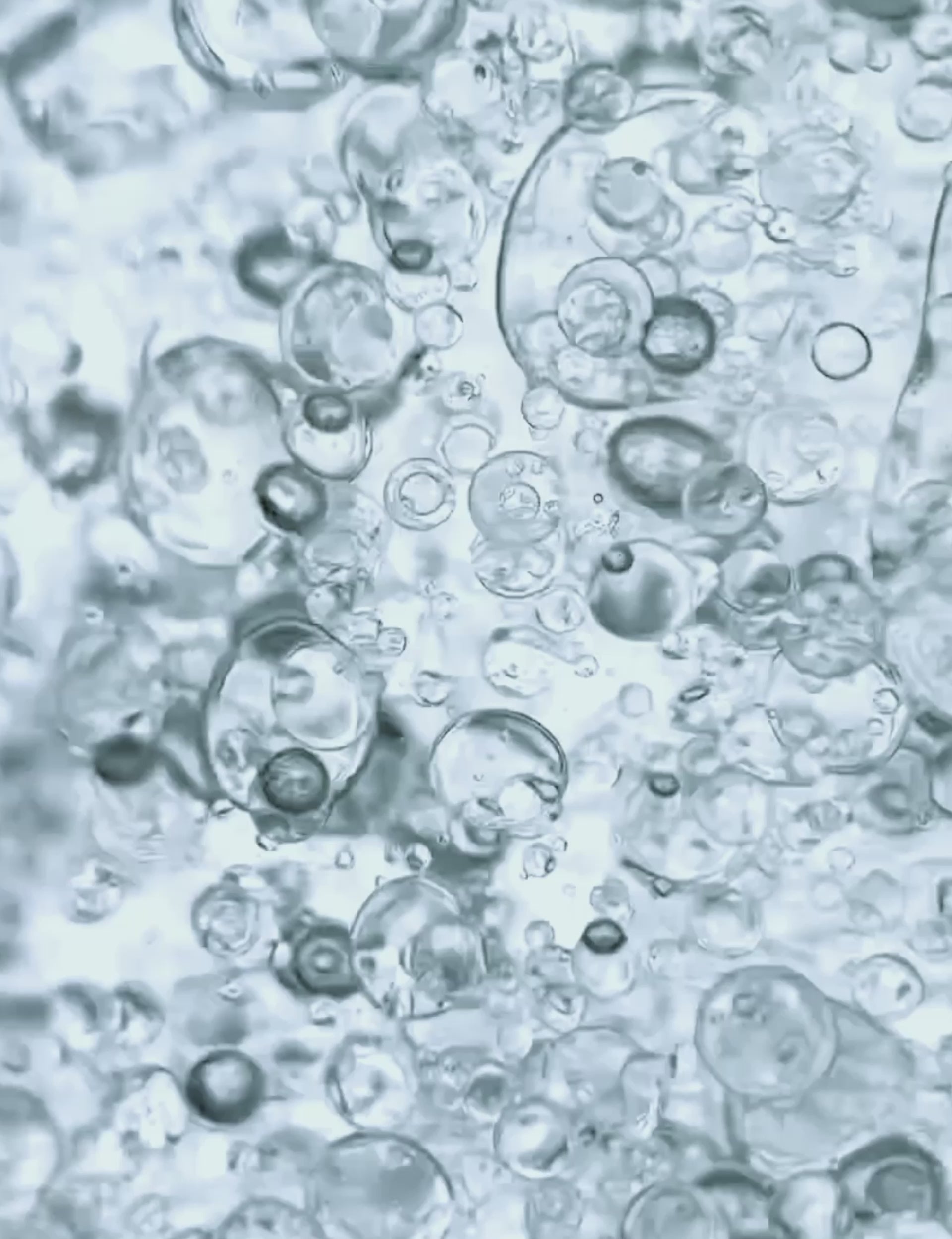 Pure Jal² — video